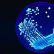 Illustration for article titled Is your DNA wrecked? Find out, with the hyperchromic effect.